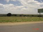 Mpumalanga, BETHAL district, Goedehoop, farm cemetery