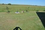 Mpumalanga, BETHAL district, Driehoek 295_2, farm cemetery
