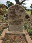 Limpopo, BELA BELA district, Cyferfontein 434, farm cemetery