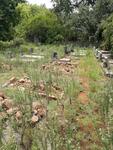 Limpopo, BELA BELA district, Eersbewoond, Tweefontein 463, Voortrekker cemetery