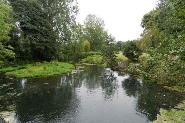 Lammas, Buxton Mill Pond