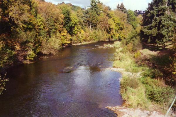 River Severn entering Newtown