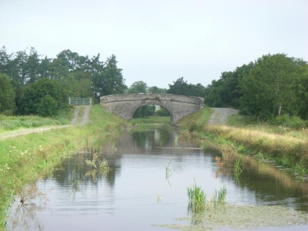 Ballydrum Bridge, Royal Canal