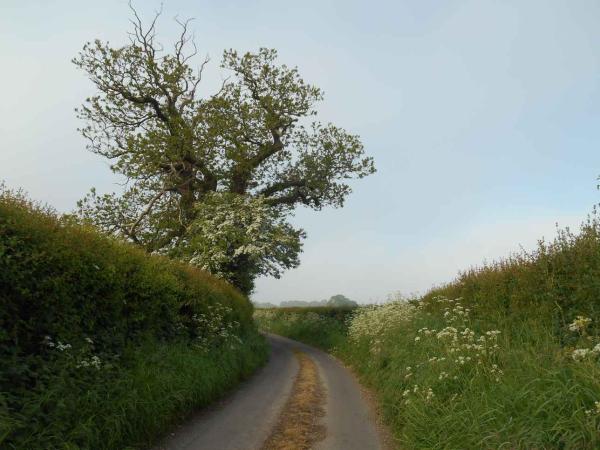 Almer, Road from St.Mary's to World's End Pub
