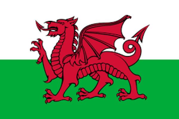 Welsh Counties